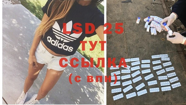 PSILOCYBIN Россошь