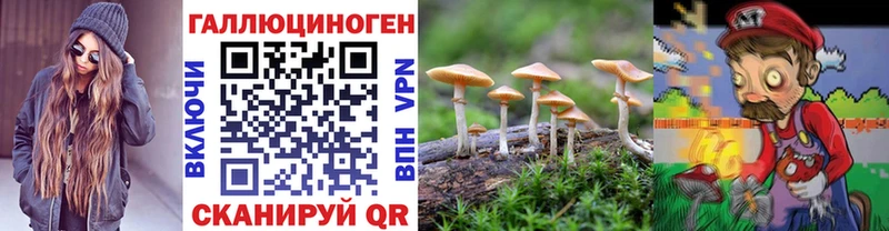 Галлюциногенные грибы Psilocybe  наркошоп  Лысково 